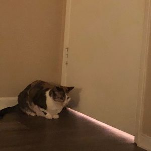 Meet your Posher, Myra